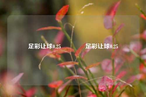 足彩让球0.25👈足彩让球0.25