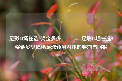 足彩14场任选9奖金多少🏆足彩14场任选9奖金多少揭秘足球预测游戏的奖池与回报