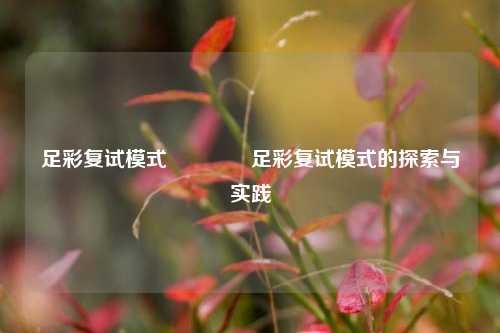足彩复试模式🌈足彩复试模式的探索与实践