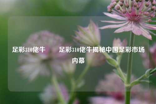 足彩310佬牛✌️足彩310佬牛揭秘中国足彩市场内幕