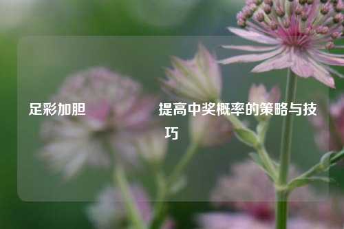 足彩加胆🎖️提高中奖概率的策略与技巧
