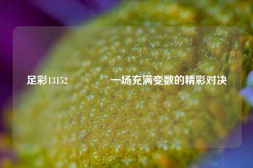 足彩13152🥉一场充满变数的精彩对决