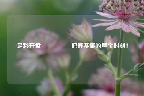 足彩开盘🎖️把握赛事的黄金时刻！