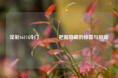 足彩16174冷门👈把握隐藏的惊喜与风险