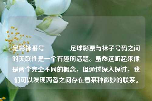 足彩袜番号🏅足球彩票与袜子号码之间的关联性是一个有趣的话题。虽然这听起来像是两个完全不同的概念，但通过深入探讨，我们可以发现两者之间存在着某种微妙的联系。