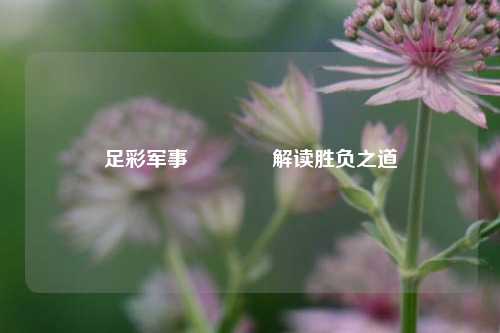 足彩军事🥈解读胜负之道