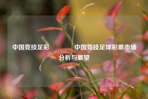 中国竞技足彩👍中国竞技足球彩票市场分析与展望