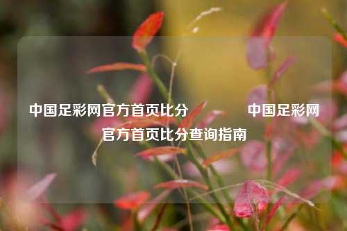 中国足彩网官方首页比分🏅中国足彩网官方首页比分查询指南