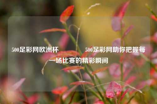 500足彩网欧洲杯🥉500足彩网助你把握每一场比赛的精彩瞬间