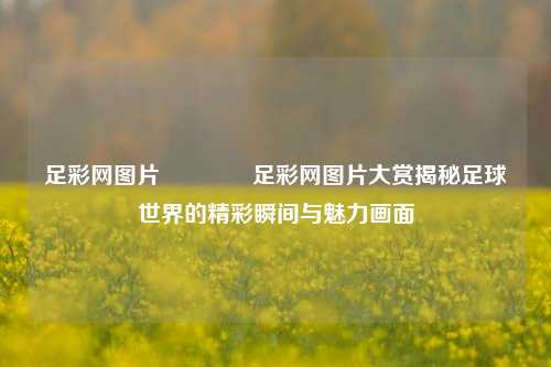足彩网图片👈足彩网图片大赏揭秘足球世界的精彩瞬间与魅力画面