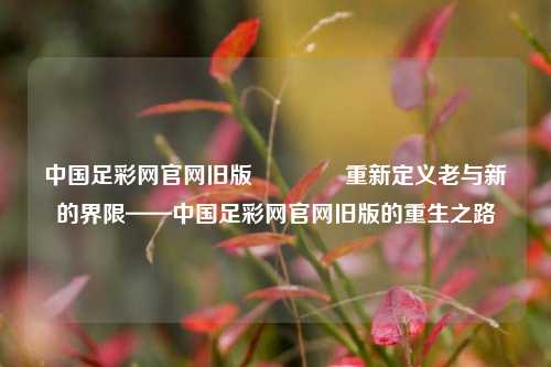 中国足彩网官网旧版👍重新定义老与新的界限——中国足彩网官网旧版的重生之路