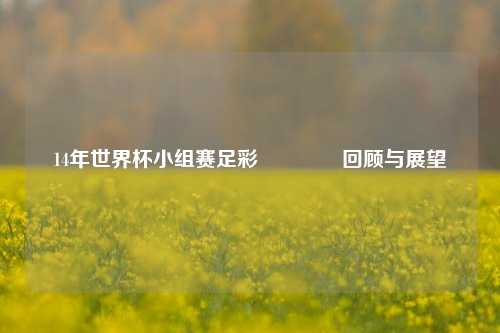 14年世界杯小组赛足彩🥈回顾与展望