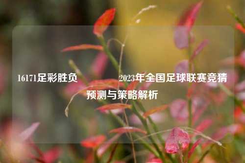 16171足彩胜负👍2023年全国足球联赛竞猜预测与策略解析