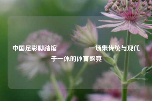中国足彩脚踏馆🎖️一场集传统与现代于一体的体育盛宴