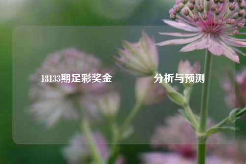 18133期足彩奖金👍分析与预测