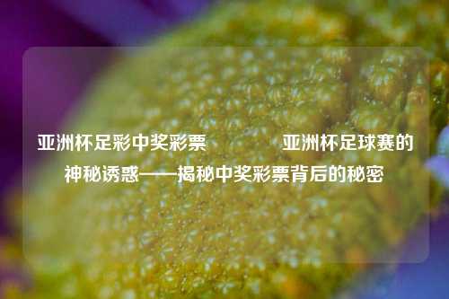 亚洲杯足彩中奖彩票👉亚洲杯足球赛的神秘诱惑——揭秘中奖彩票背后的秘密