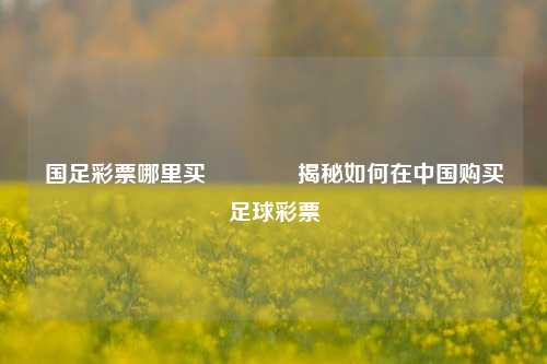 国足彩票哪里买👍揭秘如何在中国购买足球彩票