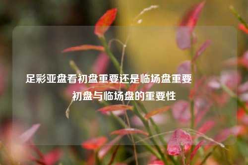足彩亚盘看初盘重要还是临场盘重要🏆初盘与临场盘的重要性