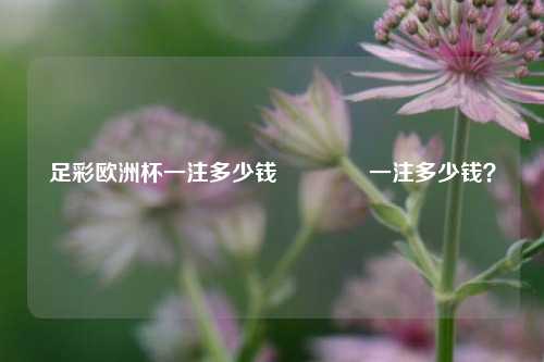 足彩欧洲杯一注多少钱🌈一注多少钱？
