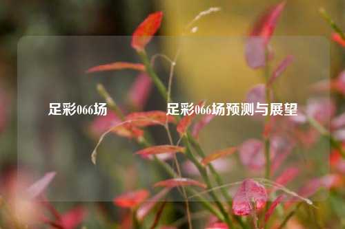 足彩066场👈足彩066场预测与展望