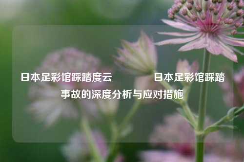 日本足彩馆踩踏度云👍日本足彩馆踩踏事故的深度分析与应对措施