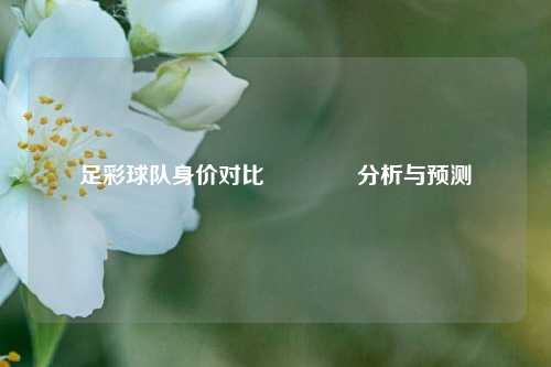 足彩球队身价对比👍分析与预测