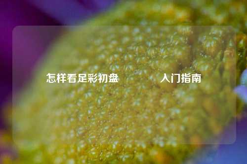 怎样看足彩初盘🏆入门指南
