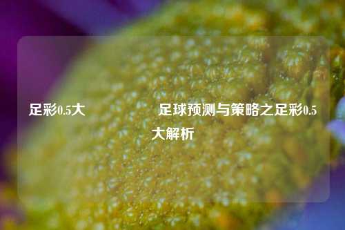 足彩0.5大🎖️足球预测与策略之足彩0.5大解析
