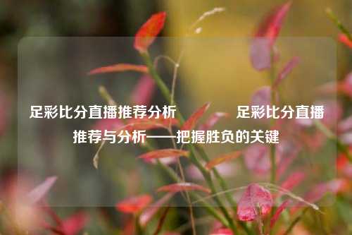 足彩比分直播推荐分析👉足彩比分直播推荐与分析——把握胜负的关键