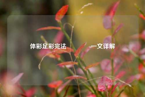 体彩足彩完法🥈一文详解