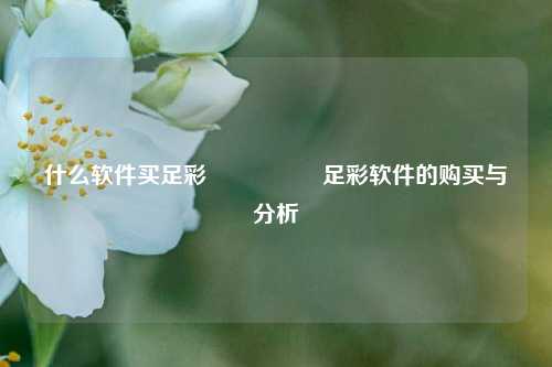什么软件买足彩🎖️足彩软件的购买与分析