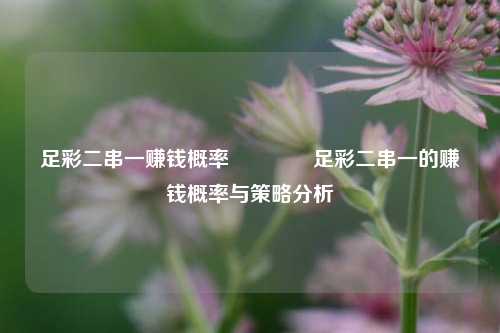 足彩二串一赚钱概率🥇足彩二串一的赚钱概率与策略分析