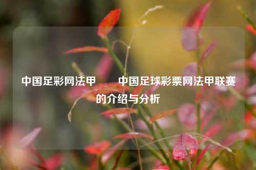 中国足彩网法甲✌️中国足球彩票网法甲联赛的介绍与分析