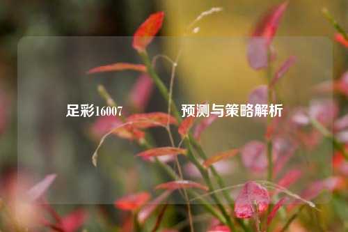 足彩16007👉预测与策略解析