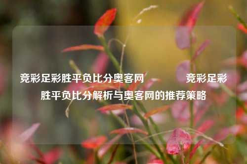 竞彩足彩胜平负比分奥客网👈竞彩足彩胜平负比分解析与奥客网的推荐策略
