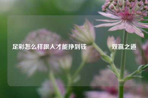 足彩怎么样跟人才能挣到钱🏅双赢之道