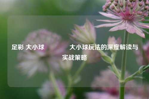 足彩 大小球👉大小球玩法的深度解读与实战策略