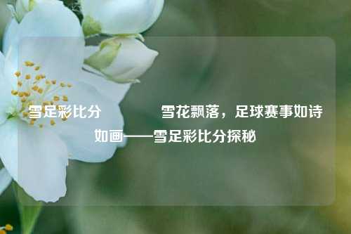 雪足彩比分🥉雪花飘落，足球赛事如诗如画——雪足彩比分探秘