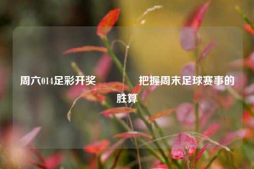 周六014足彩开奖🥉把握周末足球赛事的胜算