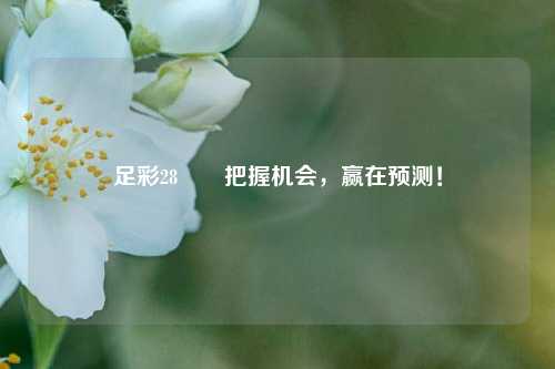 足彩28✌️把握机会，赢在预测！