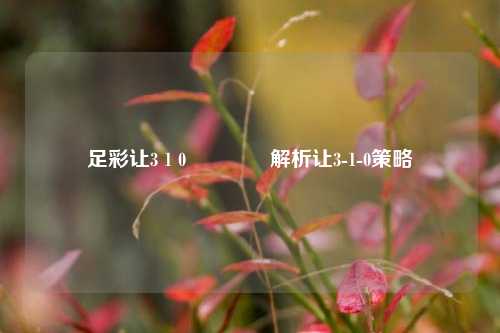 足彩让3 1 0🌈解析让3-1-0策略