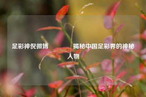 足彩神倪微博🏅揭秘中国足彩界的神秘人物