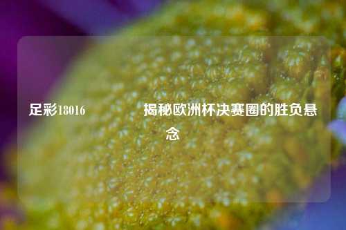 足彩18016🏅揭秘欧洲杯决赛圈的胜负悬念