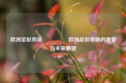 欧洲足彩市场🎖️欧洲足彩市场的演变与未来展望