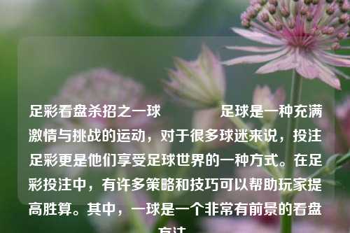 足彩看盘杀招之一球👉足球是一种充满激情与挑战的运动，对于很多球迷来说，投注足彩更是他们享受足球世界的一种方式。在足彩投注中，有许多策略和技巧可以帮助玩家提高胜算。其中，一球是一个非常有前景的看盘方法。
