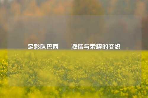 足彩队巴西✌️激情与荣耀的交织