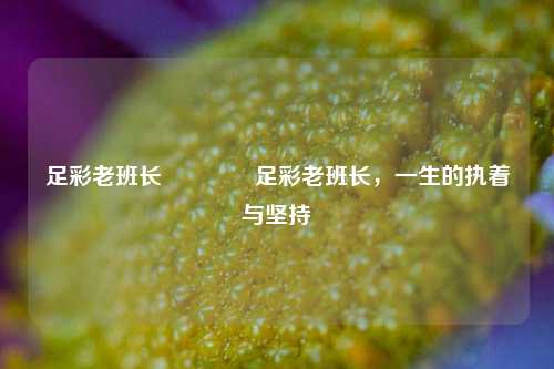 足彩老班长🌈足彩老班长，一生的执着与坚持