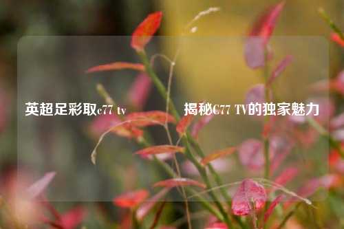 英超足彩取c77 tv🏆揭秘C77 TV的独家魅力