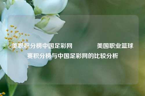 美职积分榜中国足彩网👍美国职业篮球赛积分榜与中国足彩网的比较分析