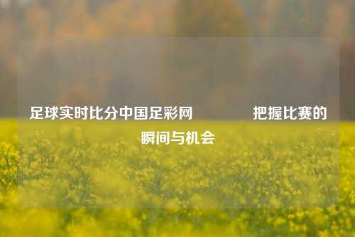 足球实时比分中国足彩网👈把握比赛的瞬间与机会